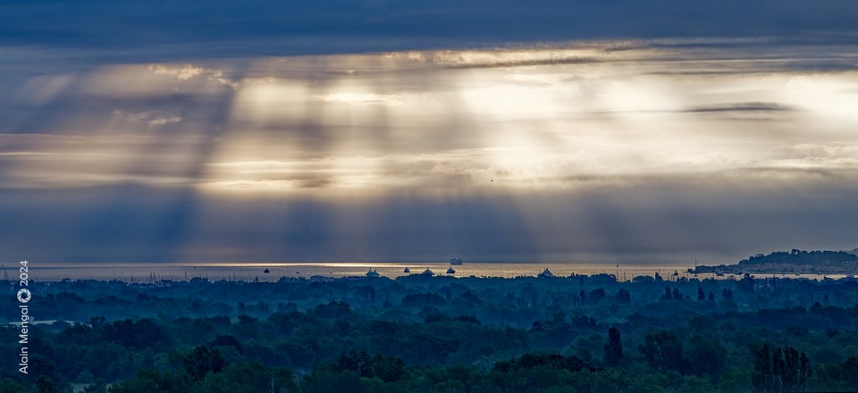 DSC_2750_DxO.jpg