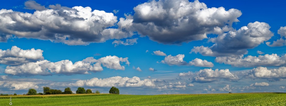 Mengal_expo_2020 (1).jpg